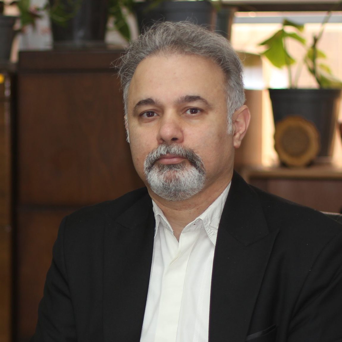 محسن انصاری